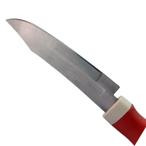 ambitionofcreativity in kitchen small knife with cover