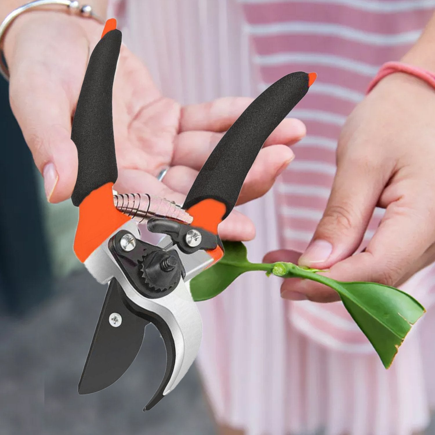 ambitionofcreativity in gardening tools garden shears sharp cutter pruners scissor pruning seeds with grip handle