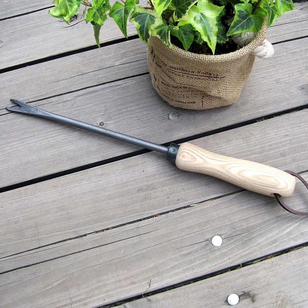 ambitionofcreativity in gardening tool hand weeder straight