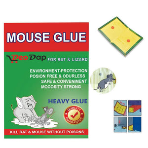 ambitionofcreativity in adhesive sticky glue pad traps to catch mouser lizards cockroaches ants rodents pack of 1