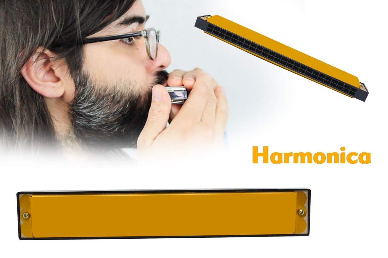 air wave harmonica colour 24 hole