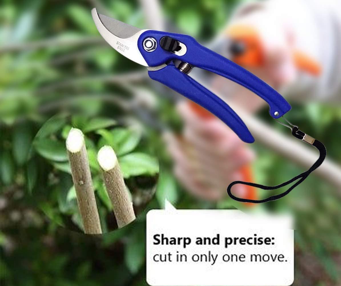 stainless steel gardening tool set with garden scissors pruning seeds flower cutter and grass cutter 18cm multicolour