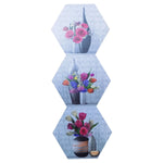 1140 hexagonal wall mount storage rack shelf for home decoration set of 3