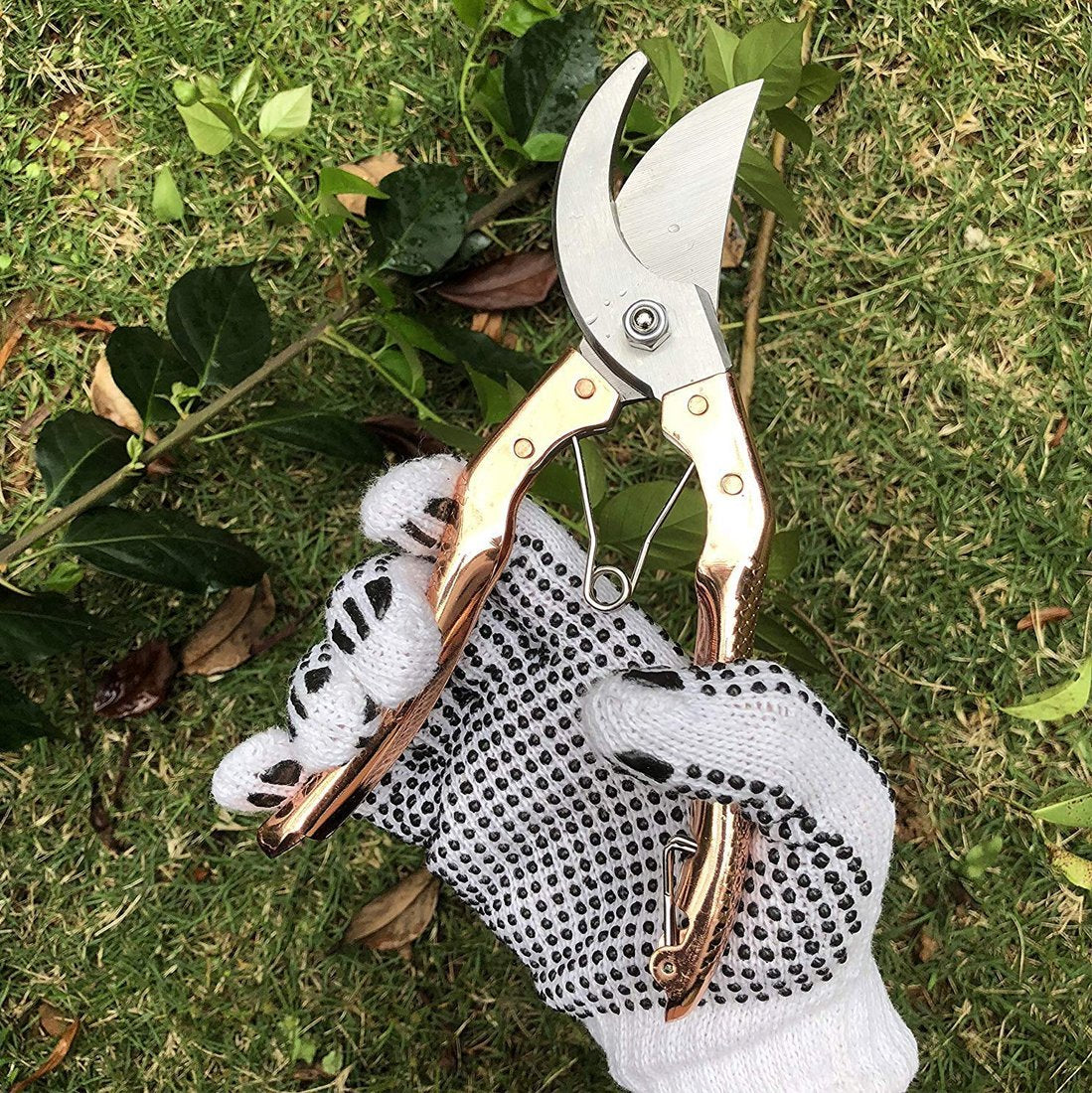 ambitionofcreativity in gardening tools garden shears pruners scissor