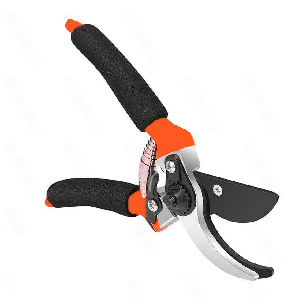 ambitionofcreativity in gardening tools garden shears sharp cutter pruners scissor pruning seeds with grip handle