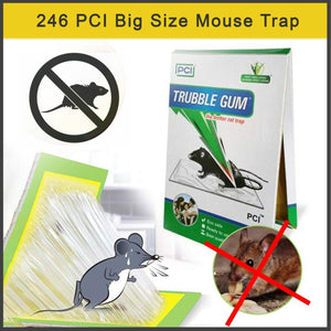 pci cardboard troublegum big size mouse trap pack of 4