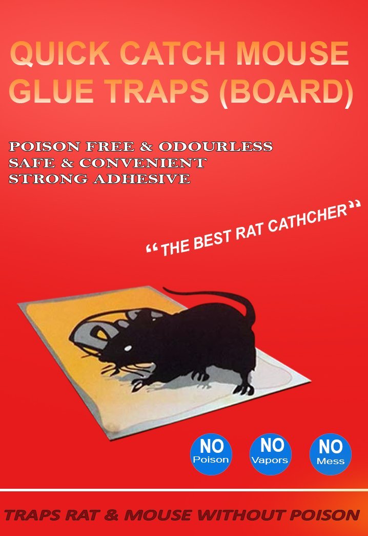 ambitionofcreativity in catch mouse rat glue traps pack of 3