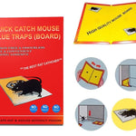 ambitionofcreativity in catch mouse rat glue traps pack of 3
